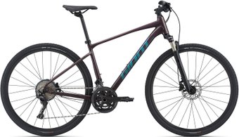 Велосипед Giant Roam 0 Disc L 2021