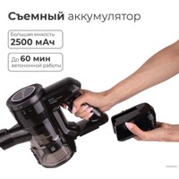 Пылесос Evolution Smart Clean DS2511