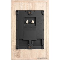  DALI Oberon On Wall Light Oak