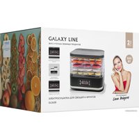 Сушилка для овощей и фруктов Galaxy Line GL2638