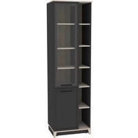 Шкаф-пенал Глазов Aurelio 1 (антрацит/блеквуд сатиновый)