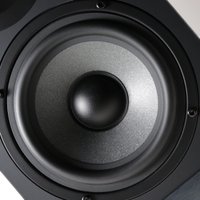 Полочная акустика Radiotehnika S-20N