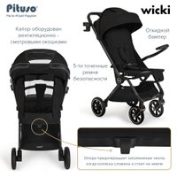 Коляска прогулочная «книга» Pituso Wicki ABF2022 (черный)