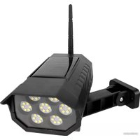 Муляж Sipl AK333