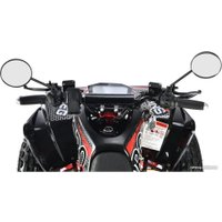 Квадроцикл White Siberia Sneg Pro R 3000W