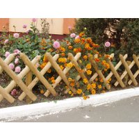 Изгородь декоративная Массив-Древ Эгерцаун D50x800x2500