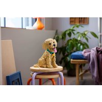 Конструктор LEGO Icons 11384 Щенок золотистого ретривера