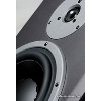 Напольная акустика Dynaudio DM 3/7