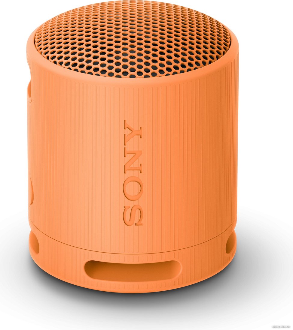 Беспроводная колонка Sony XB100 (оранжевый)