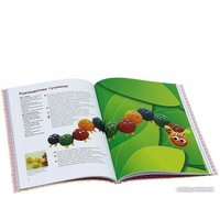 Книга издательства Робинс Тортики для детских праздников