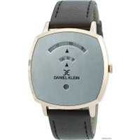 Наручные часы Daniel Klein DK12390-6