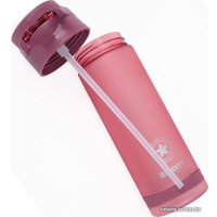 Бутылка для воды Darvish DV-H-1605-2 750мл (розовый)