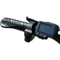 Электровелосипед Smart Balance Panda 2.0 2025 (черный)