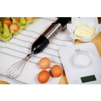 Погружной блендер Eldom BL220