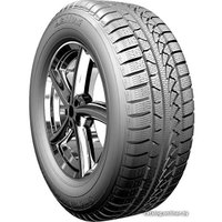Зимние шины Petlas SnowMaster W651 195/60R15 88H