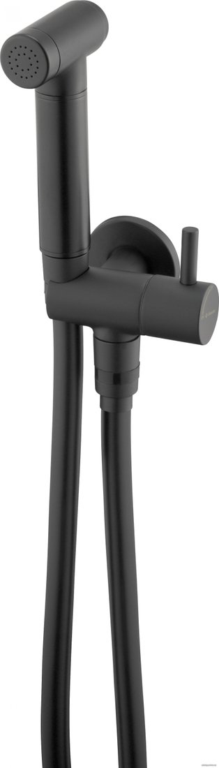 Гигиенический душ Deante Bidetta Nero ANW N51B