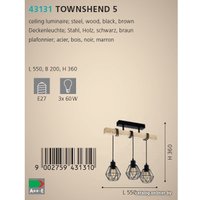 Подвесная люстра Eglo Townshend 43131