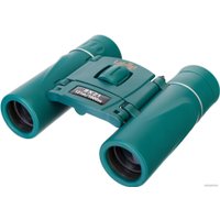 Бинокль Levenhuk LabZZ B5