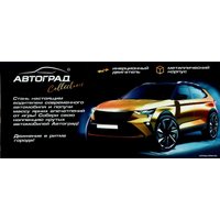 Легковой автомобиль Автоград Race 9482781 (черный)