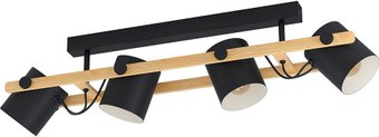 Спот Eglo Hornwood 43558