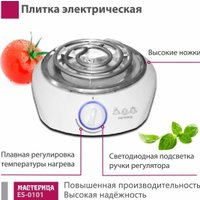 Настольная плита Мастерица ES-0101 (белый) в Витебске