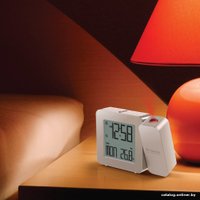 Термометр Oregon Scientific RM338P-WH