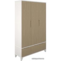 Шкаф распашной Боринское Мебель Соня (белый/дуб) в Борисове