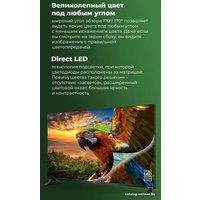 Телевизор MAUNFELD MLT43USD02