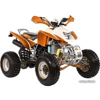Квадроцикл IRBIS ATV 250S