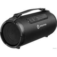 Беспроводная колонка Evolution BOOM-101 (черный)
