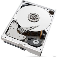 Жесткий диск Seagate IronWolf Pro 10TB [ST10000NE0004]