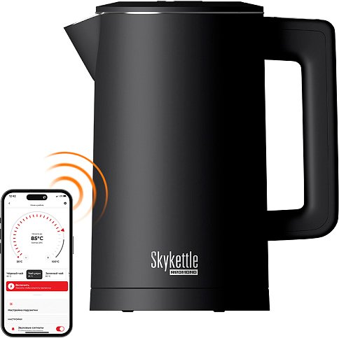 

Электрический чайник Redmond (Редмонд) SkyKettle KM231S (черный)