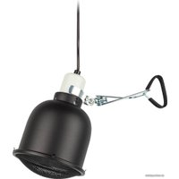 Светильник ЭРА FITO-E27-SHADE Б0053286 в Бресте