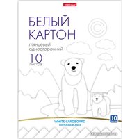 Картон для рисования Erich Krause 58493 (10 л)
