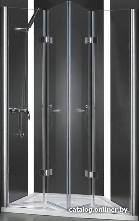 Душевая дверь Cezares ELENA-W-BS-22-200-C-Cr