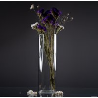 Ваза Элетех Тубо 8x25 4840900076 (прозрачный)