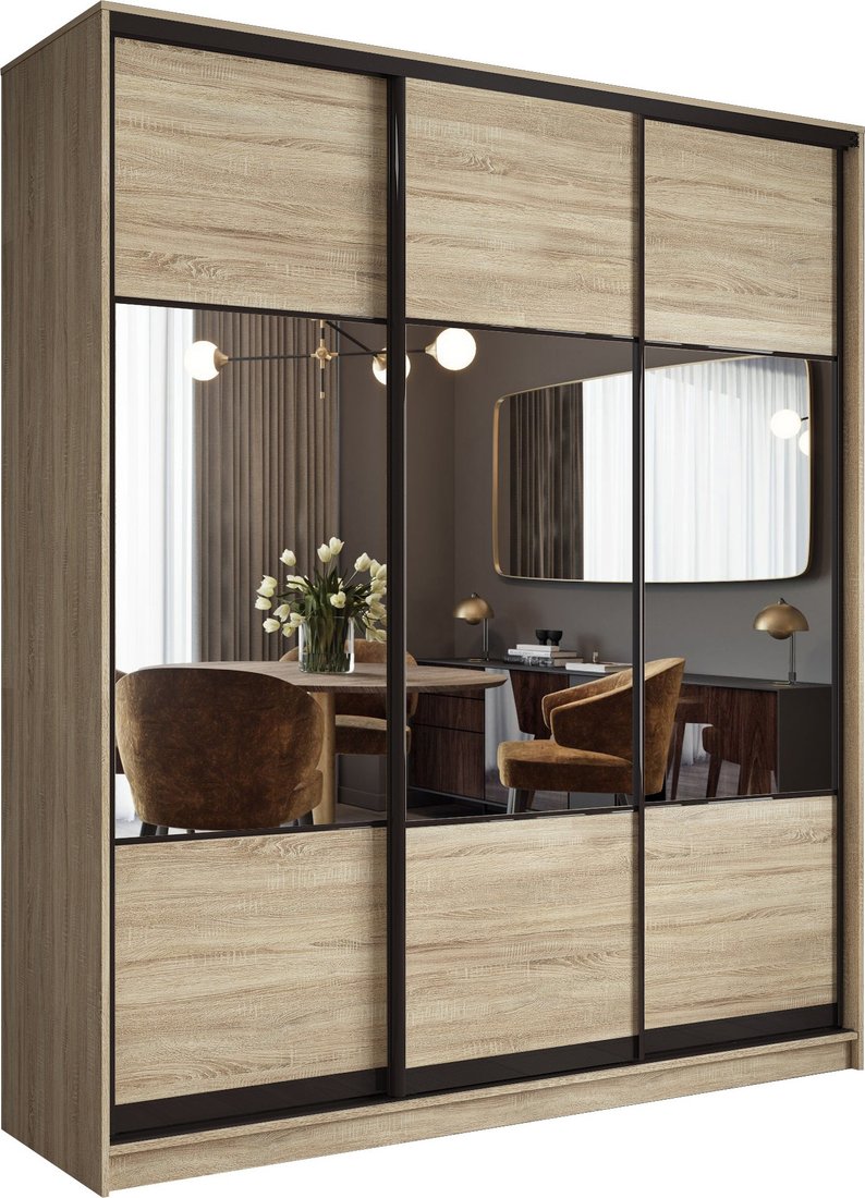 

Шкаф-купе Евва АЭП ШК.3.01 233 SSG.01 (дуб сонома/дуб сонома/венге глянец)