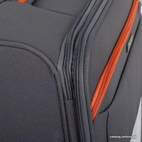 Чемодан-спиннер Francesco Molinary 270-29111/3-24 (серый)