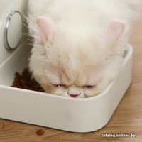 Кормушка электронная Petkit Fresh Element Mini P530