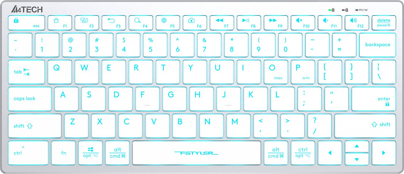 

Клавиатура A4Tech Fstyler FX61 (серебристый/белый)
