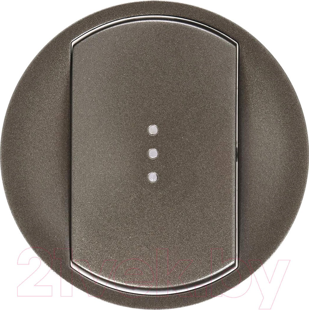 

Панель выключателя Legrand Celiane 67903 (графитовый)