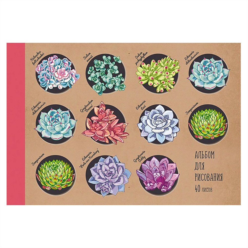 

Альбом для рисования Канц-Эксмо Коллекция цветов АЛ402132 (40 л)