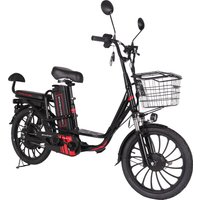 Электровелосипед Smart Balance Fiesta 2024 в Пинске