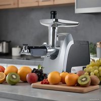 Мясорубка Making Oasis Everywhere MG-TK3