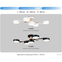 Припотолочная люстра Ambrella light FL4834/5 WH