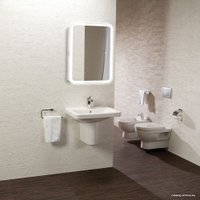 Silver Mirrors Шкаф с зеркалом Фиджи flip 60x80 LED-00002472