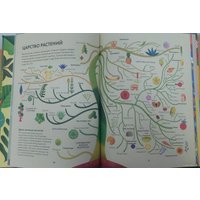 Книга издательства АСТ. Солнечный свет на завтрак. WWF. Сохраним планету вместе! (Холланд М.)