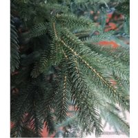 Ель Maxy Poland Exclusive Императорская литая 1.8 м