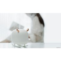 Увлажнитель воздуха Sothing Deer (белый)