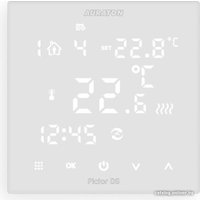 Терморегулятор Auraton Pictor DS